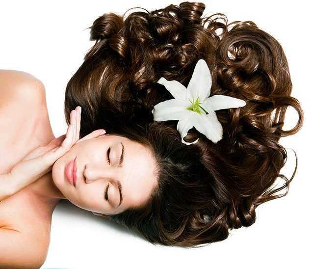 Transform Your Hair with Ancient Wisdom - Ayurvedic Haircare
